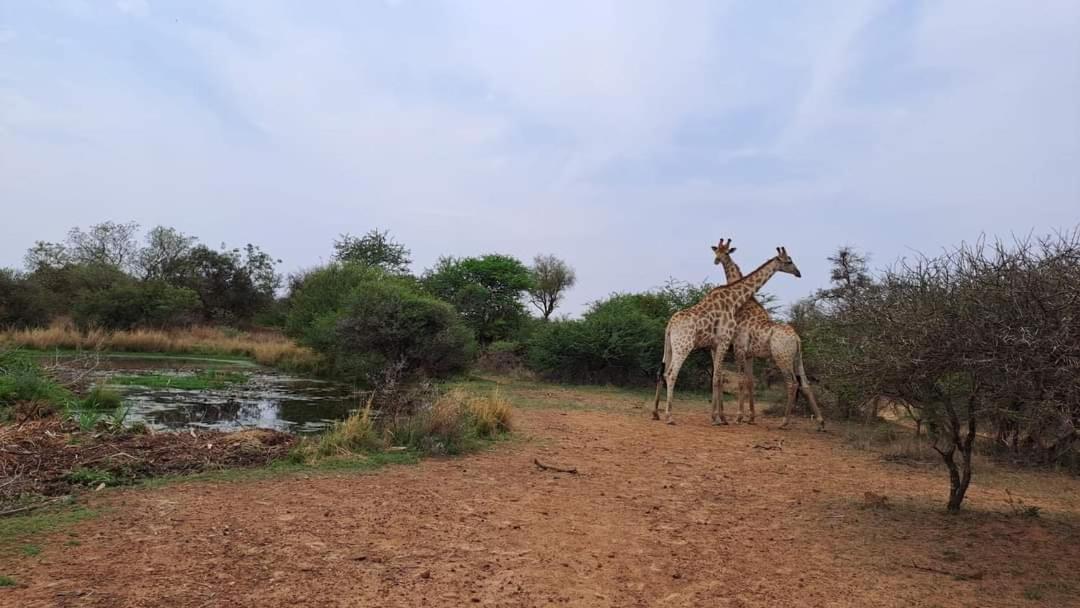 Ndlovu Log Home Dinokeng Klipdrift Exteriér fotografie