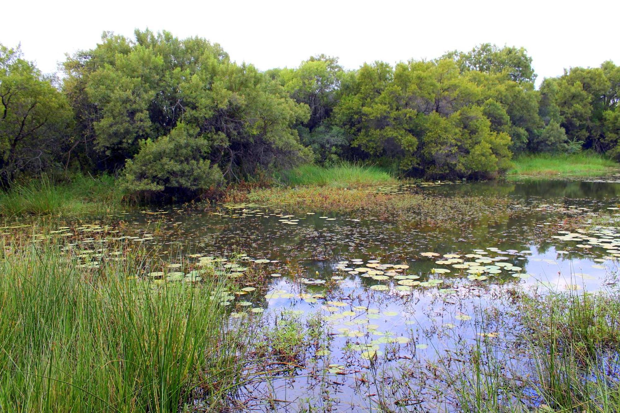 Ndlovu Log Home Dinokeng Klipdrift Exteriér fotografie