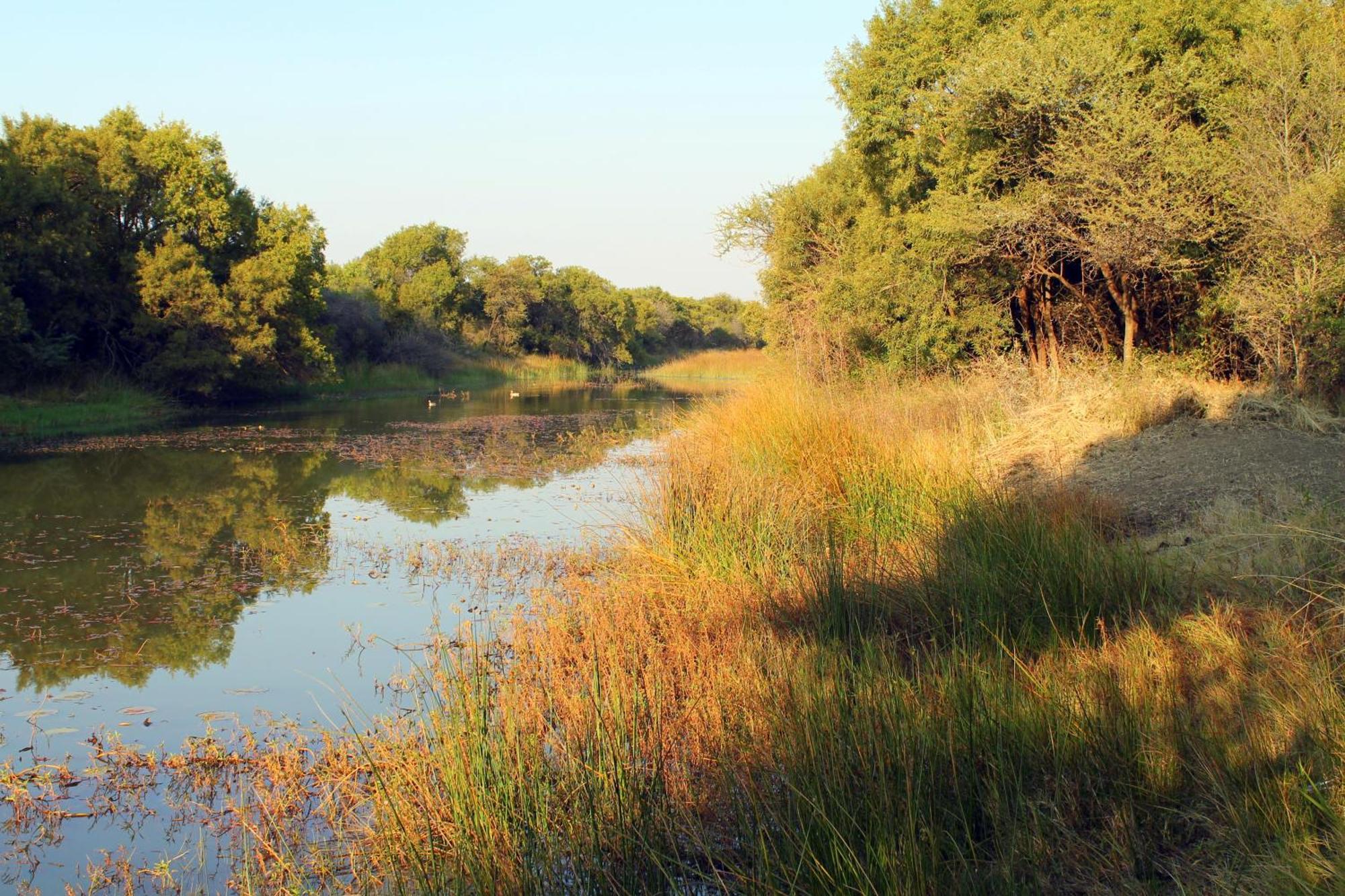 Ndlovu Log Home Dinokeng Klipdrift Exteriér fotografie