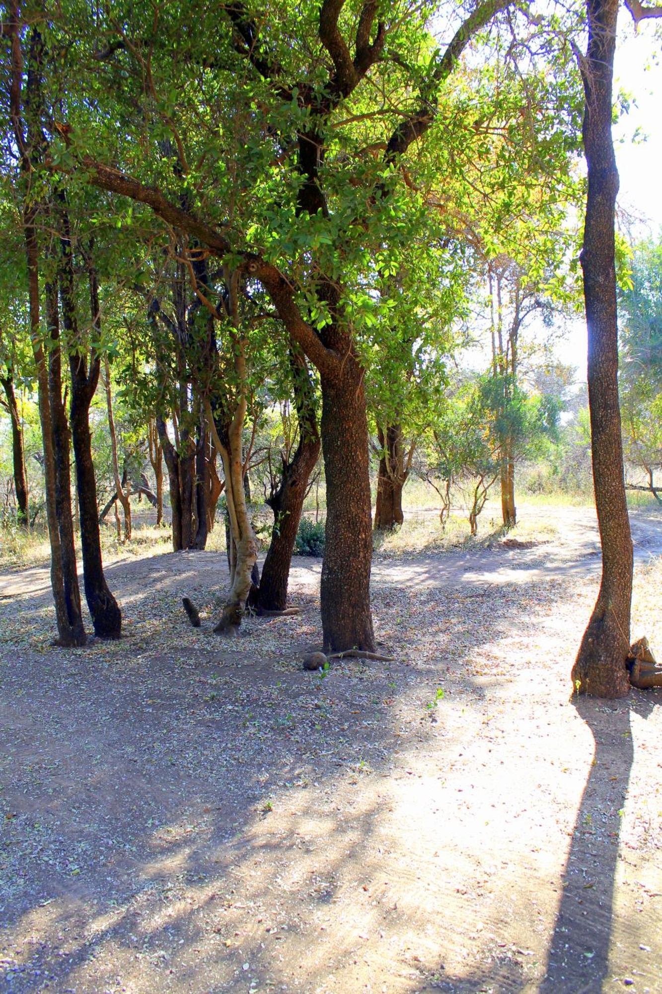 Ndlovu Log Home Dinokeng Klipdrift Exteriér fotografie